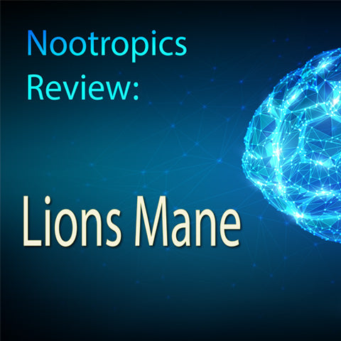 Unleashing the Power of Lion's Mane: The Ultimate Nootropic for Brain Health and Cognitive Enhancement